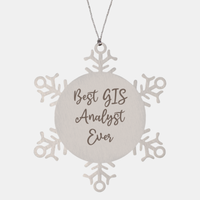 Load image into Gallery viewer, Best GIS Analyst Ever Ornament Christmas Gift for Him Her Snowflake Ornament
