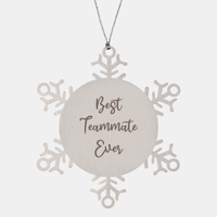 Load image into Gallery viewer, Best Teammate Ever Ornament Christmas Gift for Him Her Snowflake Ornament
