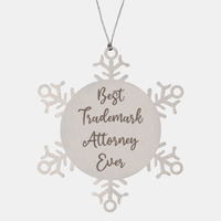 Load image into Gallery viewer, Best Trademark Attorney Ever Ornament Christmas Gift for Him Her Snowflake Ornament
