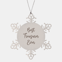 Load image into Gallery viewer, Best Treasurer Ever Ornament Christmas Gift for Him Her Snowflake Ornament
