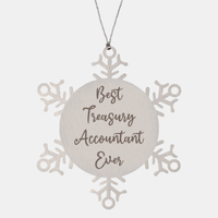 Load image into Gallery viewer, Best Treasury Accountant Ever Ornament Christmas Gift for Him Her Snowflake Ornament
