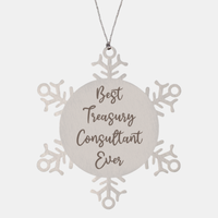 Load image into Gallery viewer, Best Treasury Consultant Ever Ornament Christmas Gift for Him Her Snowflake Ornament

