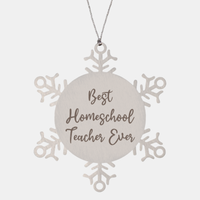 Load image into Gallery viewer, Best Homeschool Teacher Ever Ornament Christmas Gift for Him Her Snowflake Ornament
