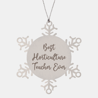 Load image into Gallery viewer, Best Horticulture Teacher Ever Ornament Christmas Gift for Him Her Snowflake Ornament
