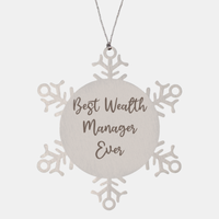 Load image into Gallery viewer, Best Wealth Manager Ever Ornament Christmas Gift for Him Her Snowflake Ornament
