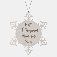 Load image into Gallery viewer, Best IT Program Manager Ever Ornament Christmas Gift for Him Her Snowflake Ornament
