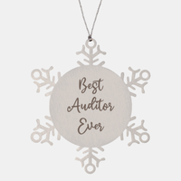 Load image into Gallery viewer, Best Auditor Ever Ornament, Christmas Gift for Him Her, Stainless Steel Snowflake Ornament
