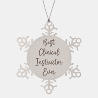 Load image into Gallery viewer, Best Clinical Instructor Ever Ornament, Christmas Gift for Him Her, Stainless Steel Snowflake Ornament
