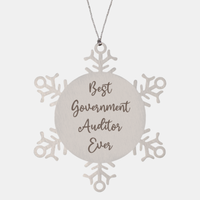 Load image into Gallery viewer, Best Government Auditor Ever Ornament, Christmas Gift for Him Her, Stainless Steel Snowflake Ornament
