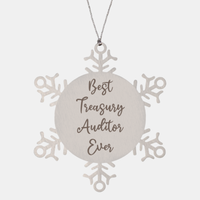 Load image into Gallery viewer, Best Treasury Auditor Ever Ornament, Christmas Gift for Him Her, Stainless Steel Snowflake Ornament
