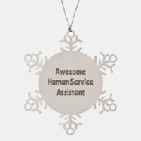Load image into Gallery viewer, Human Service Assistant Gift Stainless Steel Snowflake Ornament Christmas Gift Awesome
