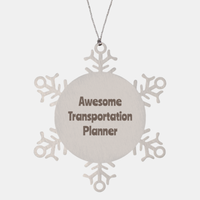 Load image into Gallery viewer, Transportation Planner Gift Stainless Steel Snowflake Ornament Christmas Gift Awesome
