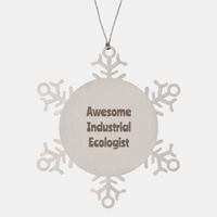 Load image into Gallery viewer, Industrial Ecologist Gift Stainless Steel Snowflake Ornament Christmas Gift Awesome
