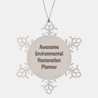 Load image into Gallery viewer, Environmental Restoration Planner Gift Stainless Steel Snowflake Ornament Christmas Gift Awesome
