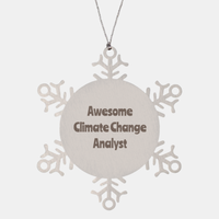 Load image into Gallery viewer, Climate Change Analyst Gift Stainless Steel Snowflake Ornament Christmas Gift Awesome

