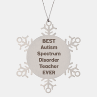 Load image into Gallery viewer, Best Autism Spectrum Disorder Teacher Ever Ornament Gift Stainless Steel Snowflake Ornament Christmas
