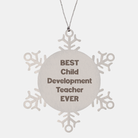 Load image into Gallery viewer, Best Child Development Teacher Ever Ornament Gift Stainless Steel Snowflake Ornament Christmas
