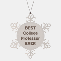 Load image into Gallery viewer, Best College Professor Ever Ornament Gift Stainless Steel Snowflake Ornament Christmas
