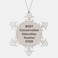 Load image into Gallery viewer, Best Conservation Education Teacher Ever Ornament Gift Stainless Steel Snowflake Ornament Christmas
