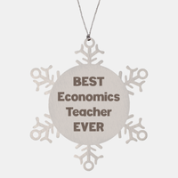 Load image into Gallery viewer, Best Economics Teacher Ever Ornament Gift Stainless Steel Snowflake Ornament Christmas
