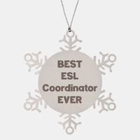Load image into Gallery viewer, Best ESL Coordinator Ever Ornament Gift Stainless Steel Snowflake Ornament Christmas
