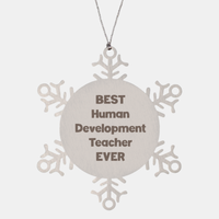 Load image into Gallery viewer, Best Human Development Teacher Ever Ornament Gift Stainless Steel Snowflake Ornament Christmas
