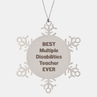 Load image into Gallery viewer, Best Multiple Disabilities Teacher Ever Ornament Gift Stainless Steel Snowflake Ornament Christmas
