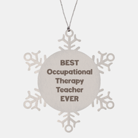 Load image into Gallery viewer, Best Occupational Therapy Teacher Ever Ornament Gift Stainless Steel Snowflake Ornament Christmas
