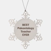 Load image into Gallery viewer, Best Paleontology Teacher Ever Ornament Gift Stainless Steel Snowflake Ornament Christmas
