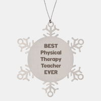 Load image into Gallery viewer, Best Physical Therapy Teacher Ever Ornament Gift Stainless Steel Snowflake Ornament Christmas

