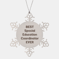 Load image into Gallery viewer, Best Special Education Coordinator Ever Ornament Gift Stainless Steel Snowflake Ornament Christmas
