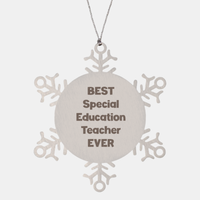 Load image into Gallery viewer, Best Special Education Teacher Ever Ornament Gift Stainless Steel Snowflake Ornament Christmas
