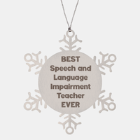 Load image into Gallery viewer, Best Speech and Language Impairment Teacher Ever Ornament Gift Stainless Steel Snowflake Ornament Christmas

