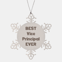 Load image into Gallery viewer, Best Vice Principal Ever Ornament Gift Stainless Steel Snowflake Ornament Christmas

