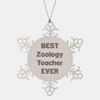 Load image into Gallery viewer, Best Zoology Teacher Ever Ornament Gift Stainless Steel Snowflake Ornament Christmas
