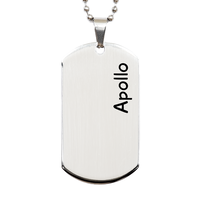 Load image into Gallery viewer, Apollo Gifts - Personalized Dog Tag Necklace for Men – front view
